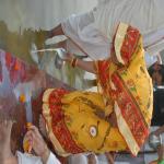 Vraj-Yatra-2014- (869)